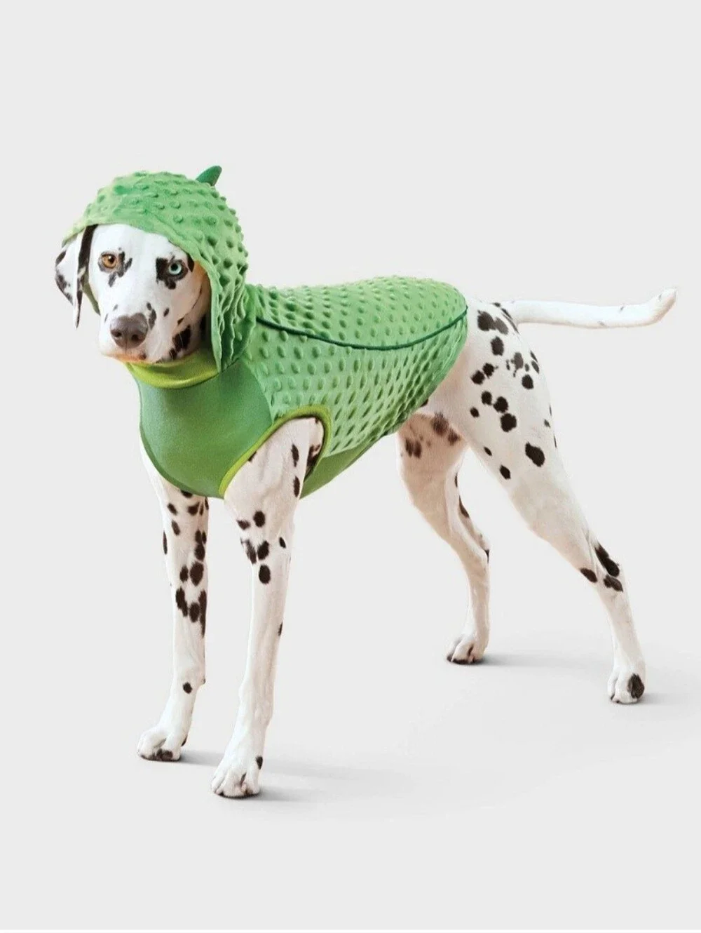 Dog Pickle Hoodie Halloween Costume